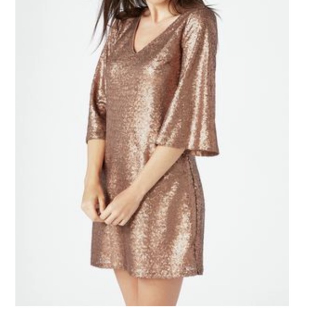 Just Fab Plus Sequined Dress